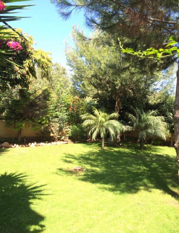 Villa Natalia Ajía Nápa Kültér fotó