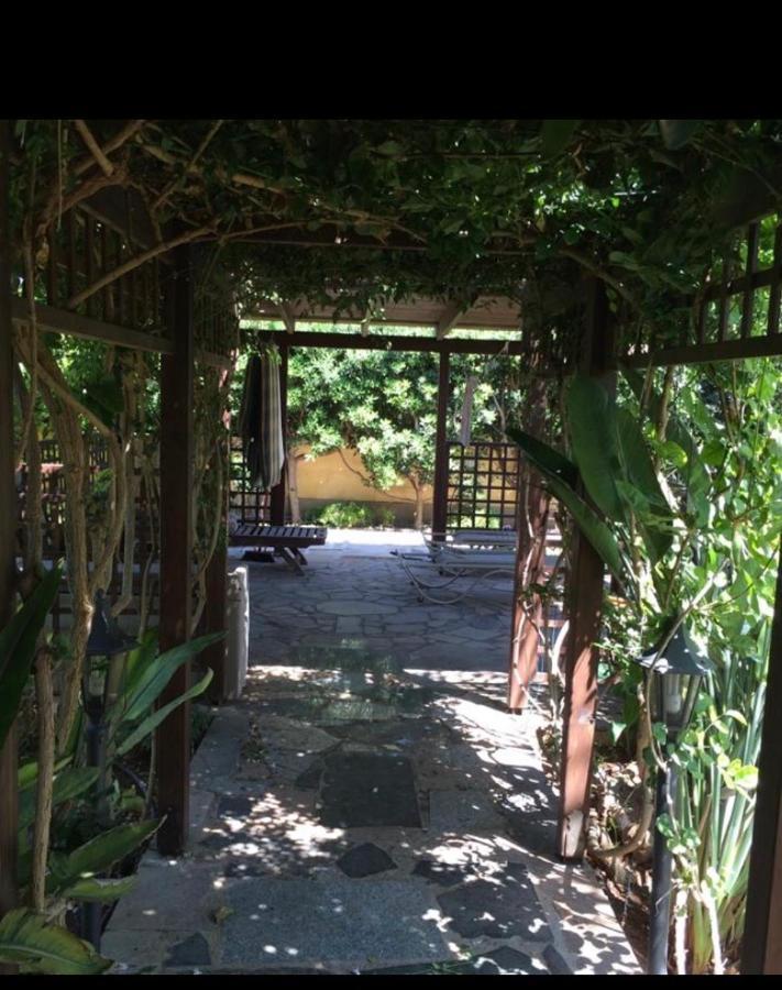 Villa Natalia Ajía Nápa Kültér fotó